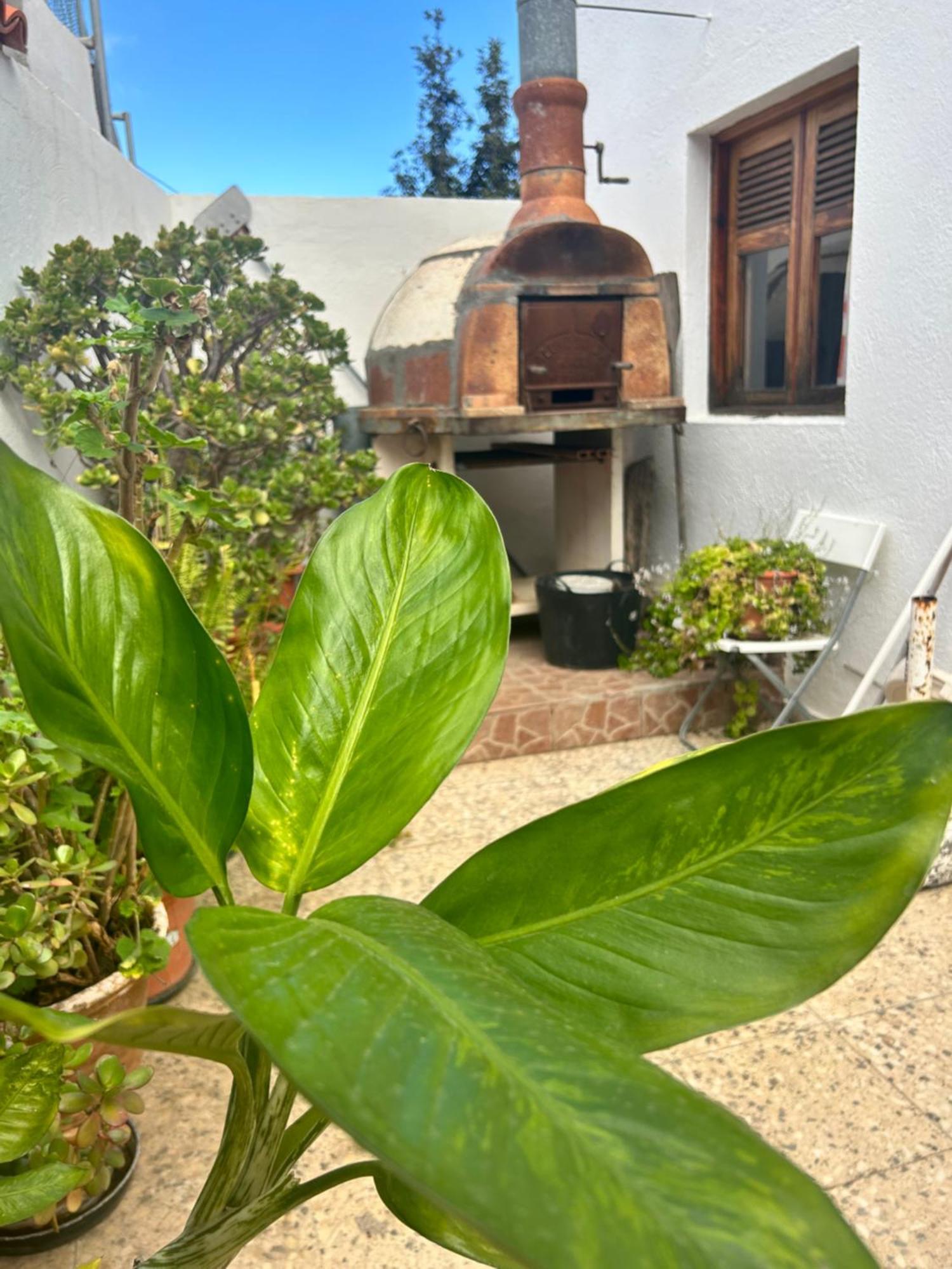 Casa Rural Teresita Entera Tranquila Llena De Bienestar Güimar 外观 照片